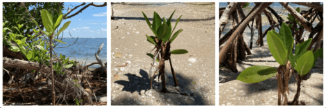 article image - 